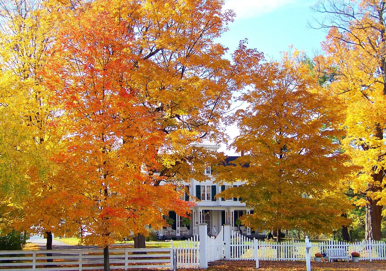 Transitioning your home for fall weather;  annual check ups and maintenance