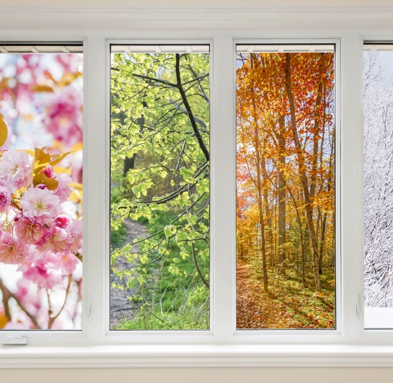 changing seasons shown in 4 panes of a window while sitting within a home