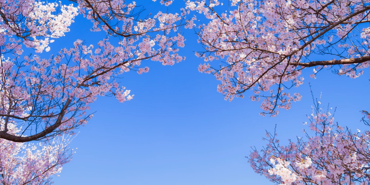 Welcome Spring into a Cooler, More Efficient Home