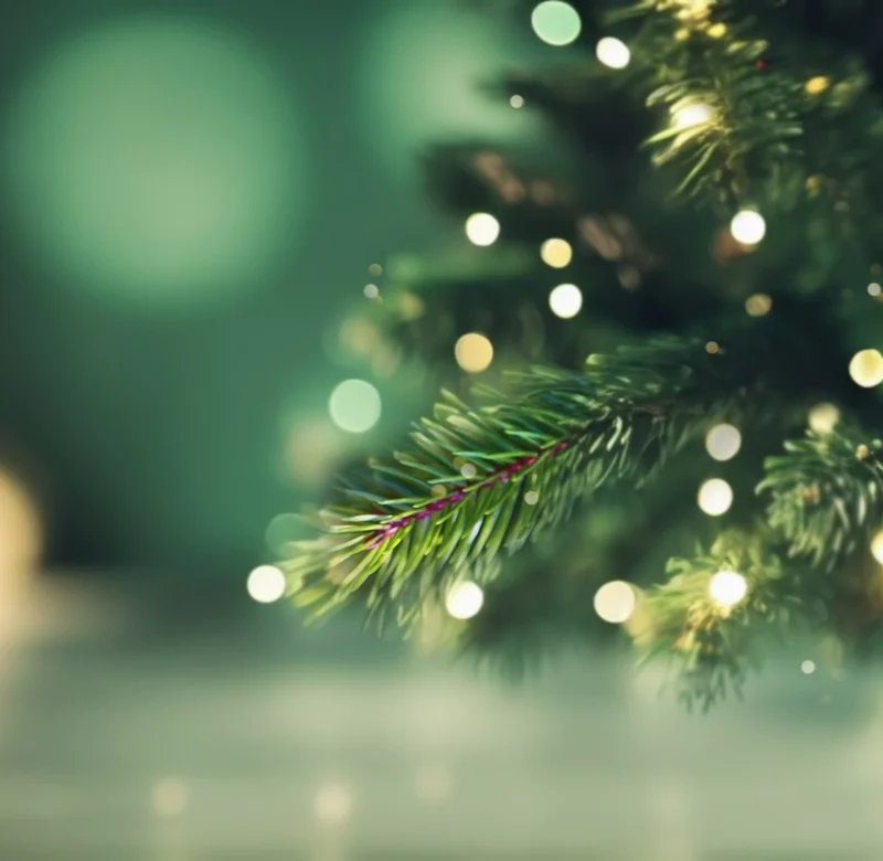 Make Your Home Shine Bright This Holiday Season — Without Wasting Energy